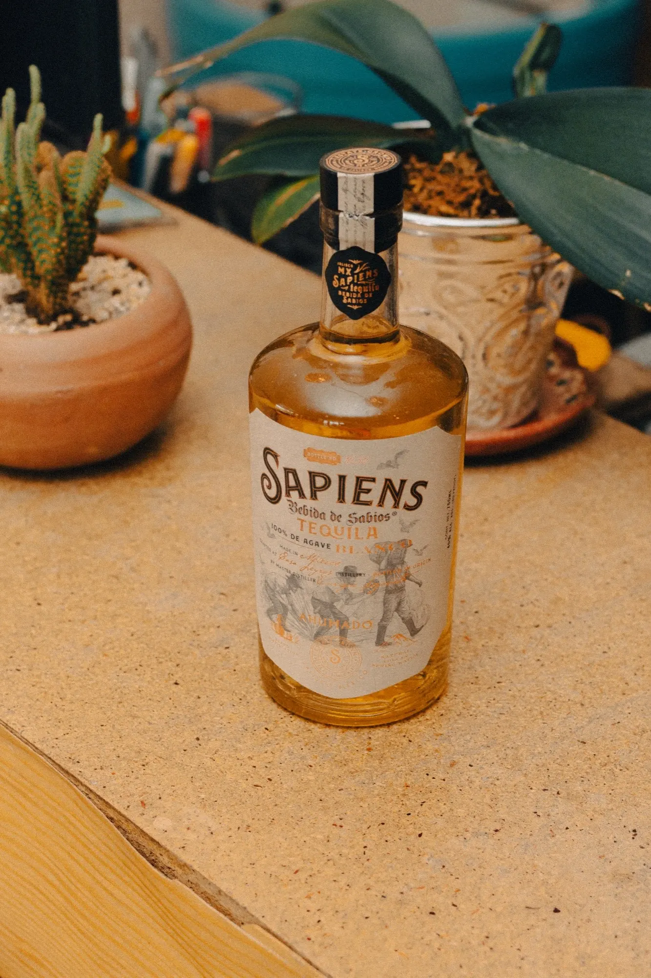 Sapiens Ahumado on a warm stone table