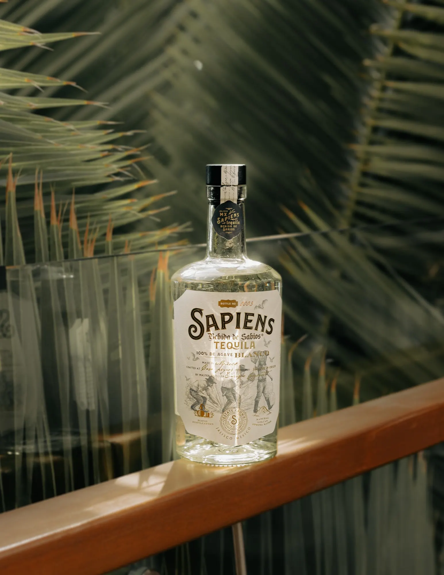 Sapiens Tequila Blanco resting against blue agave
