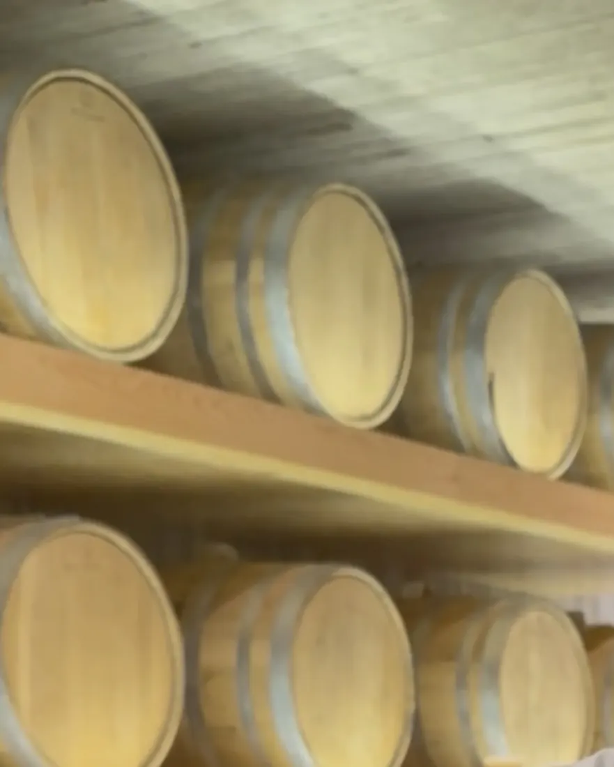 American oak barrels resting in the cellar